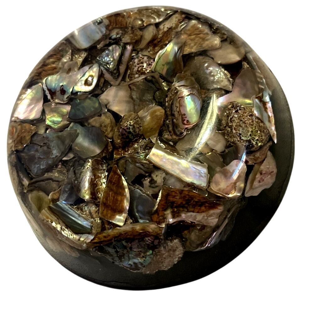 resin lucite abalone paperweight mid century retro